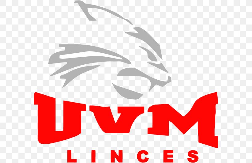 Universidad del Valle Mexico
